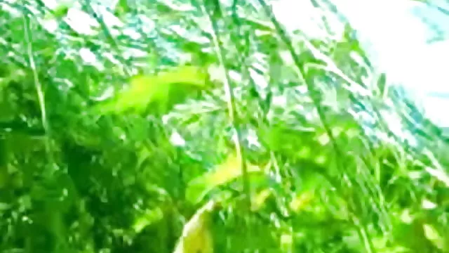 الجنس أي تسجيل الهندي مثير امرأة الغابات