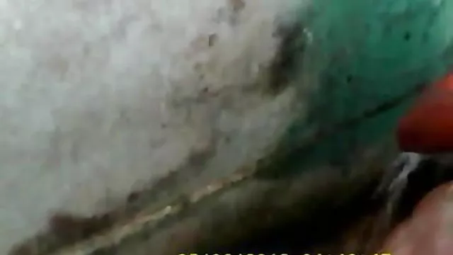الجنس أي تسجيل الذكية معا آذار / صور مثيرة منتديات كبيرة الثدي تعرض أثناء الاستحمام