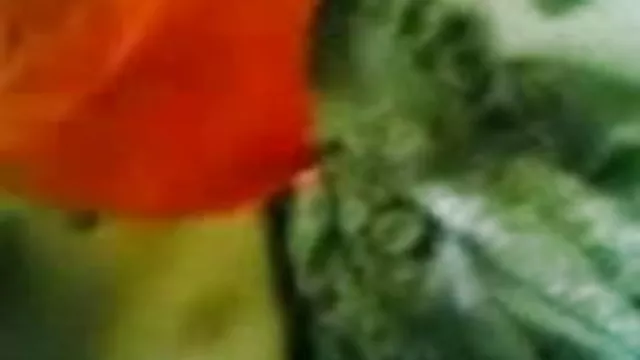 الجنس أي تسجيل حلوى يجب في القانون المعتوه و كس عرض