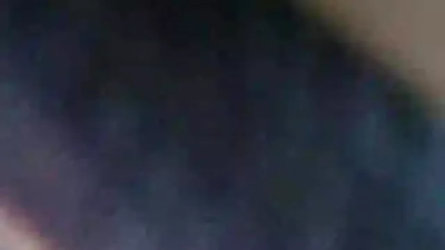 الجنس أي تسجيل التاميل الحيوان الإباحية ، وتظهر 1