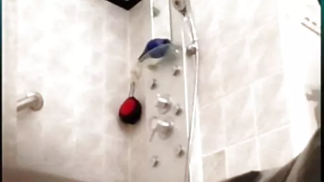 الجنس أي تسجيل الهندي كس الشعر الهندي عارية الجسم الكاميرا الخفية التي استولت عليها