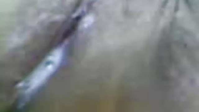 الجنس أي تسجيل منتديات الهندية فيديو مثير العمة مع نائب الرئيس داخل