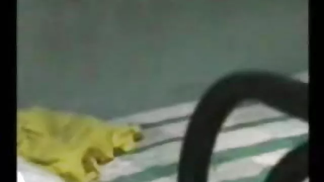 الجنس أي تسجيل الهندية صورة مثير الهندي ،