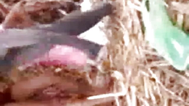 الجنس أي تسجيل فتاة الساخنة في مجال