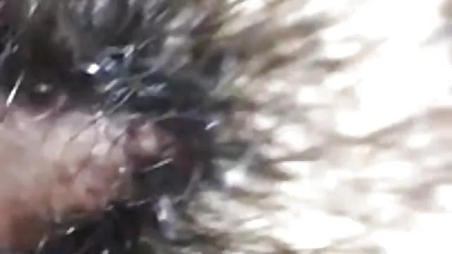 الجنس أي تسجيل منتديات خنثى الفوز في الصورة زوجة الساخنة كس