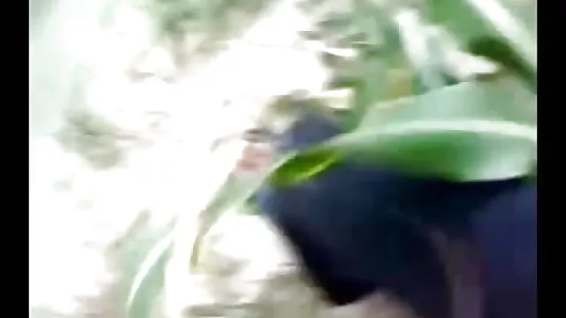 الجنس أي تسجيل نساء القرية الجنس الغابات