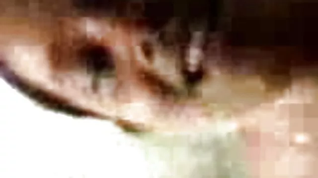 الجنس أي تسجيل مفتوح مثير HD صور الهندي كس الجنس