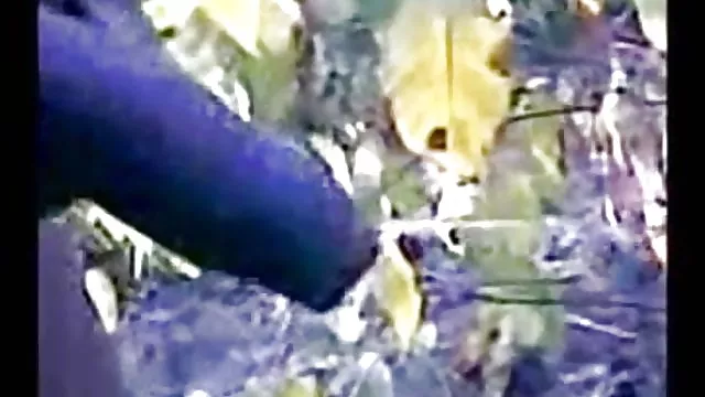 الجنس أي تسجيل التيلجو فيديو سكس com الجنس